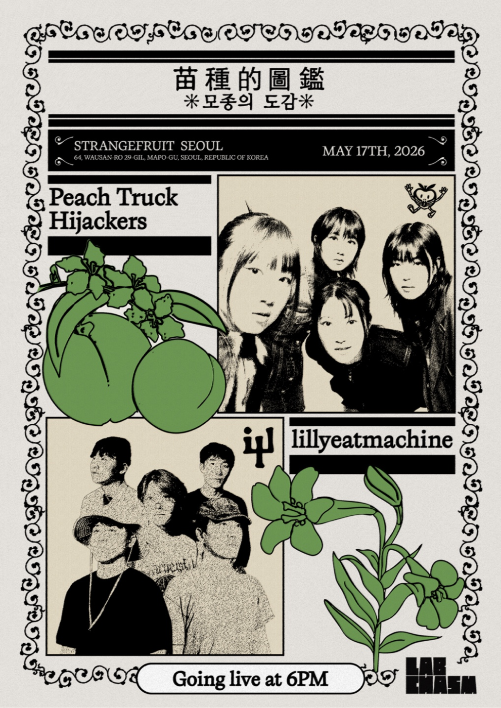 모종의 도감 with 피치트럭하이재커스, 릴리 잇 머신